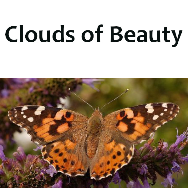  clouds of beauty  v1 t11