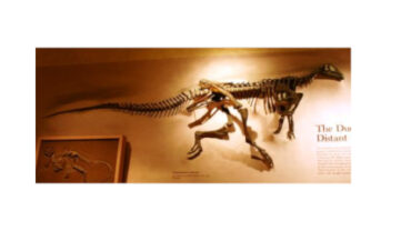 w-sp-261_09_were-dinosaurs-warm-blooded