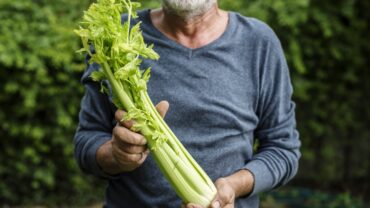 man-holding-kale-organic-produce-from-farm