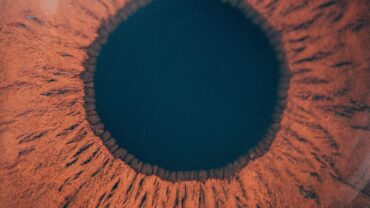 266-9-extreme-close-up-or-marco-photo-of-brown-iris-usef-2024-09-17-19-23-41-utc