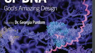 wonder-of-dna